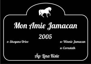 Boxskylt-7 svart vit